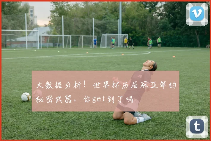大数据分析!世界杯历届冠亚军的秘密武器,你get到了吗