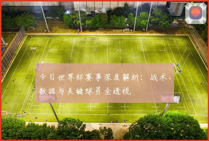 今日世界杯赛事深度解析:战术、数据与关键球员全透视