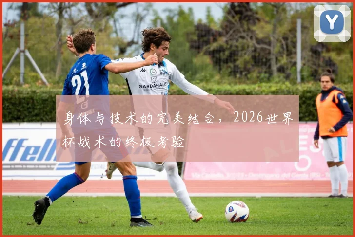 身体与技术的完美结合，2026世界杯战术的终极考验